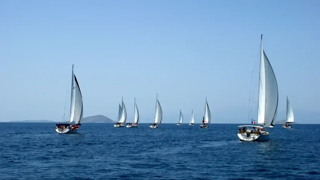 Sortie en mer a bord de voiliers