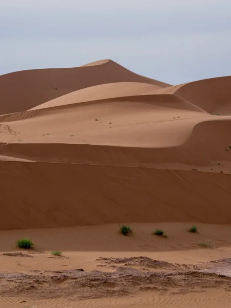 Maroc2015_94.jpg