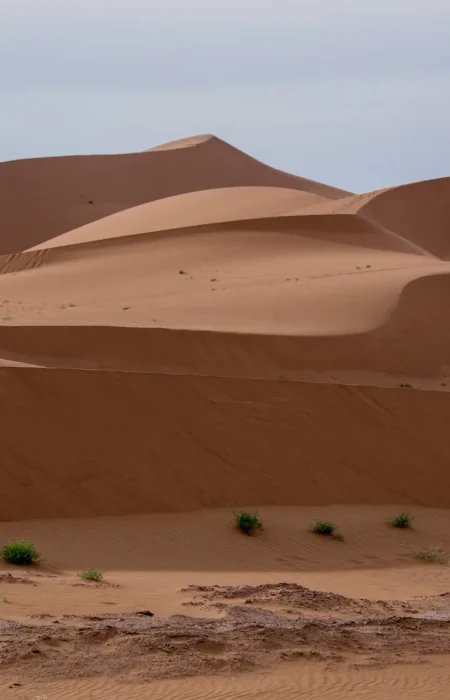 Maroc2015_94.jpg Maroc2015_94.jpg