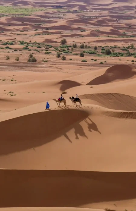 UMDH-Seminaire-desert UMDH-Seminaire-desert