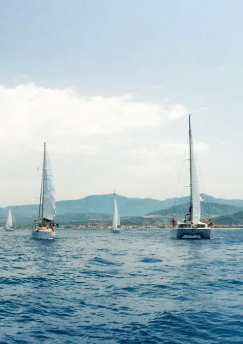 UMDH-Team building voile UMDH-Team building voile